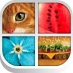 Close Up Pics Answers and Cheats for all Levels